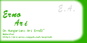 erno ari business card